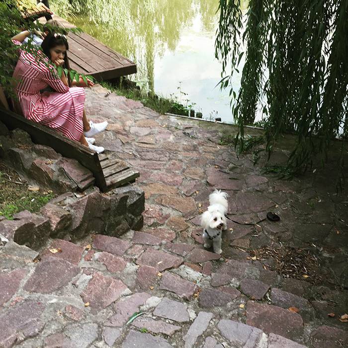 Розваги